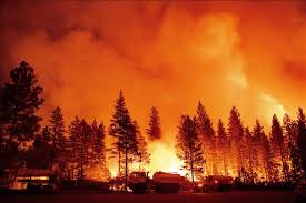 Kon Tum: Cháy rừng hai người tử vong